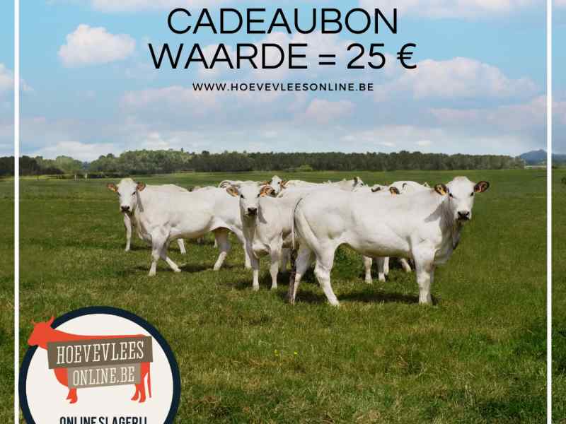  Cadeaubon 25€